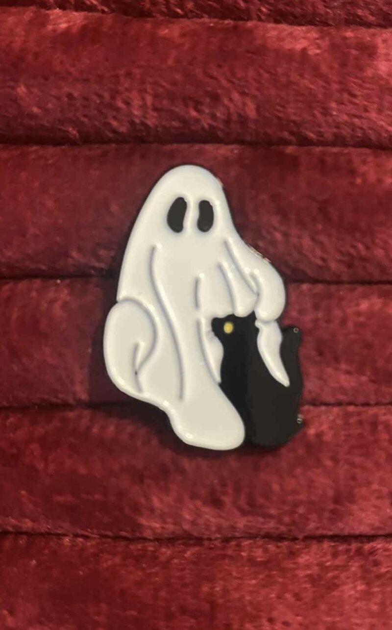 Ghost looking at cat pin 