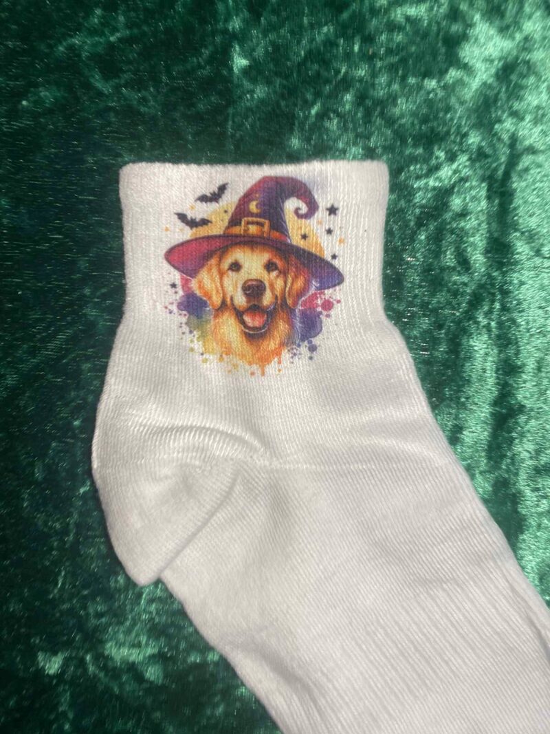 Golder retriever socks
