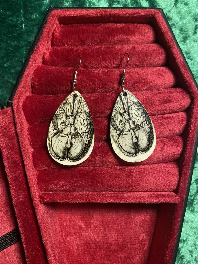 Lungs earrings