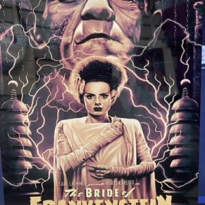 Bride of Frankenstein Metal Sign