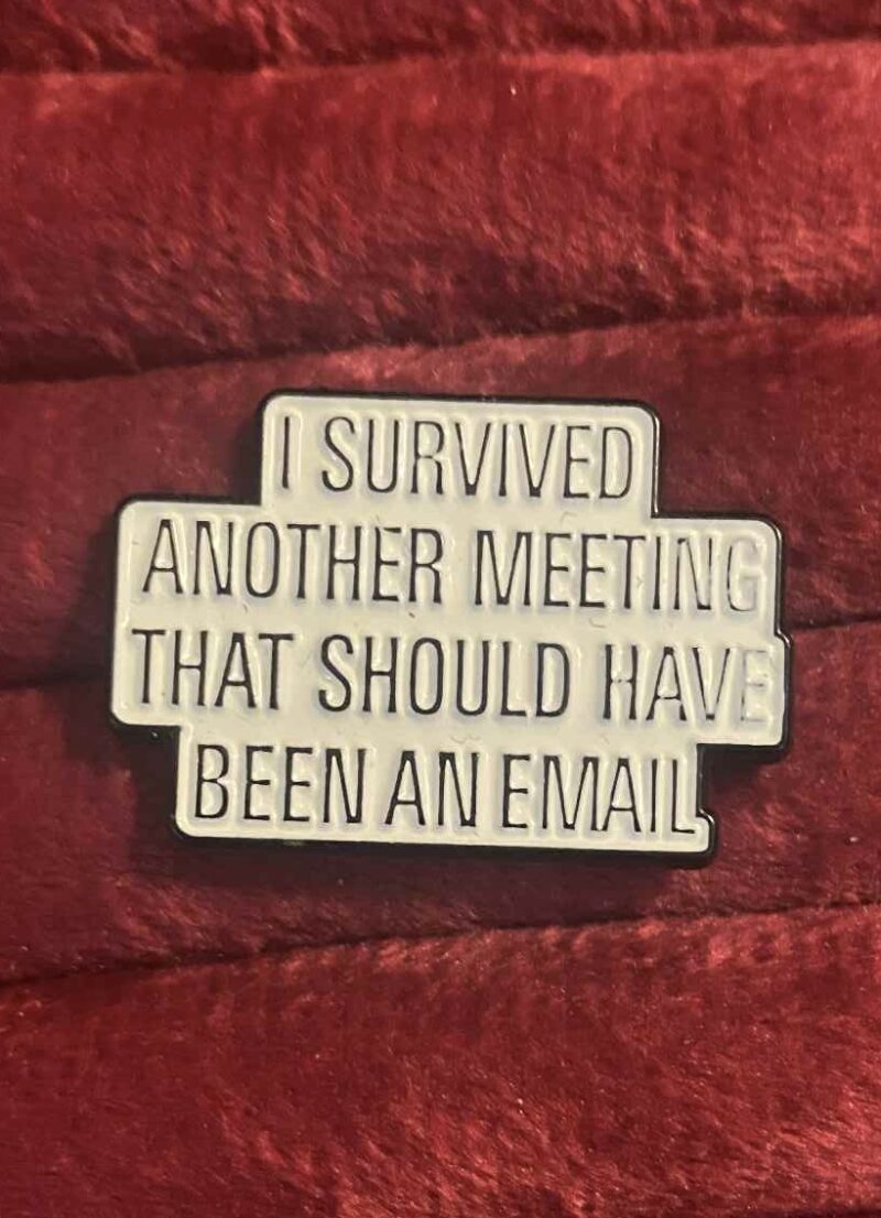 I survived another meeting pin