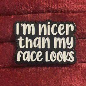 I'm nicer than my face looks pin