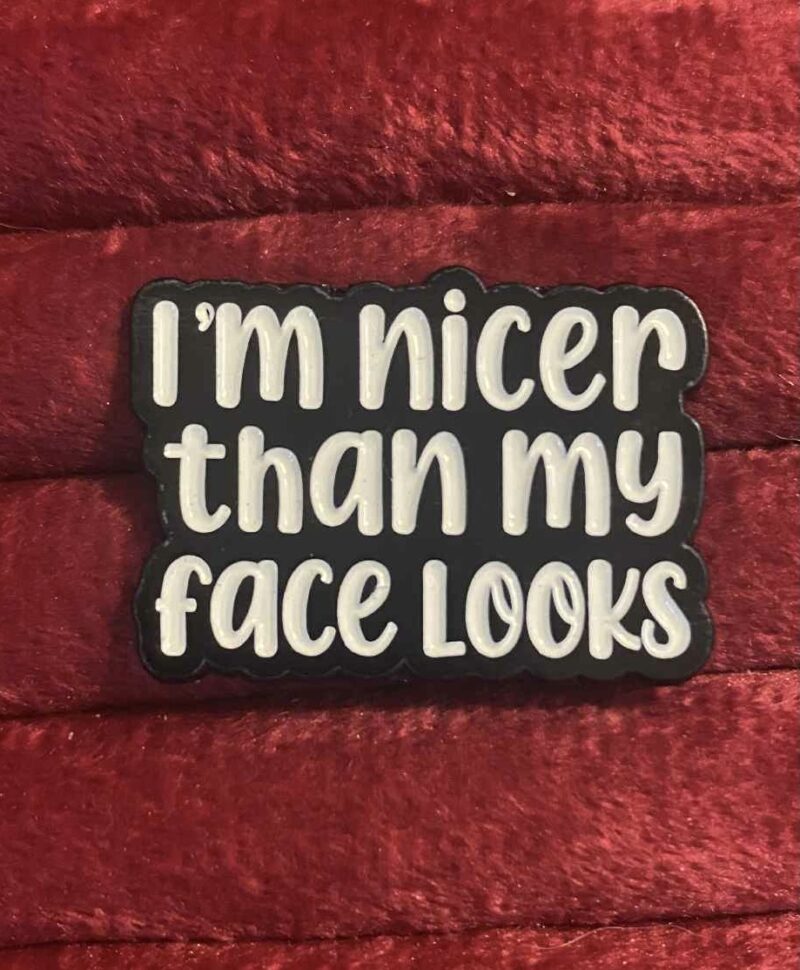 I'm nicer than my face looks pin