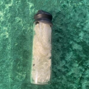 Snake skin curio bottle