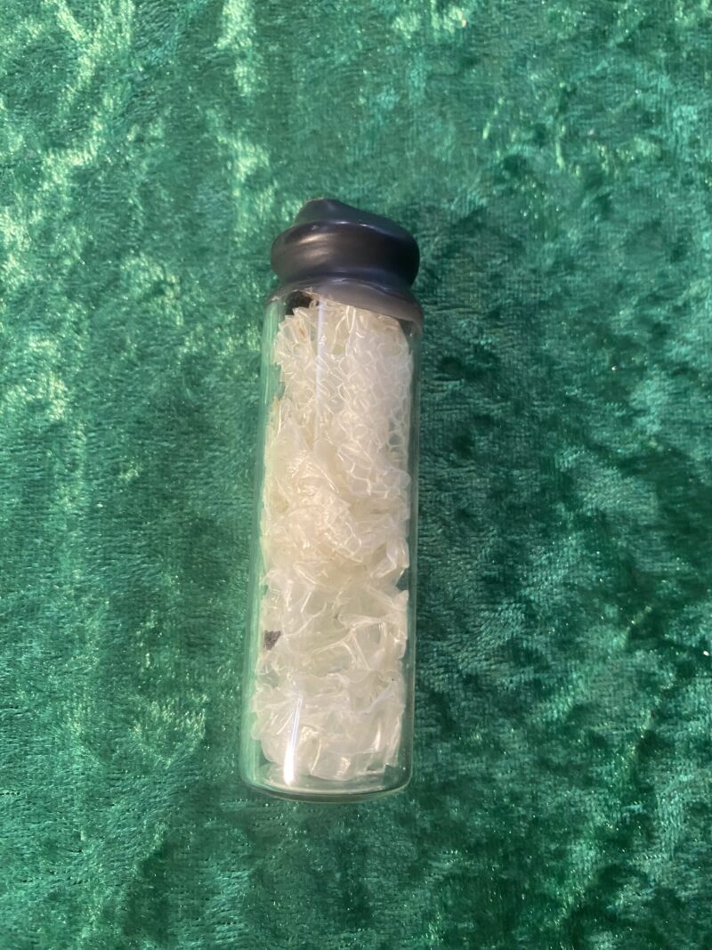 Snake skin curio bottle