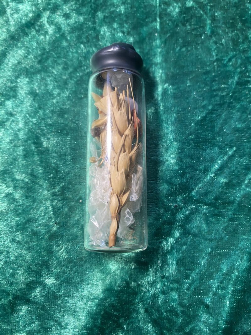 small curio bottle - Image 3