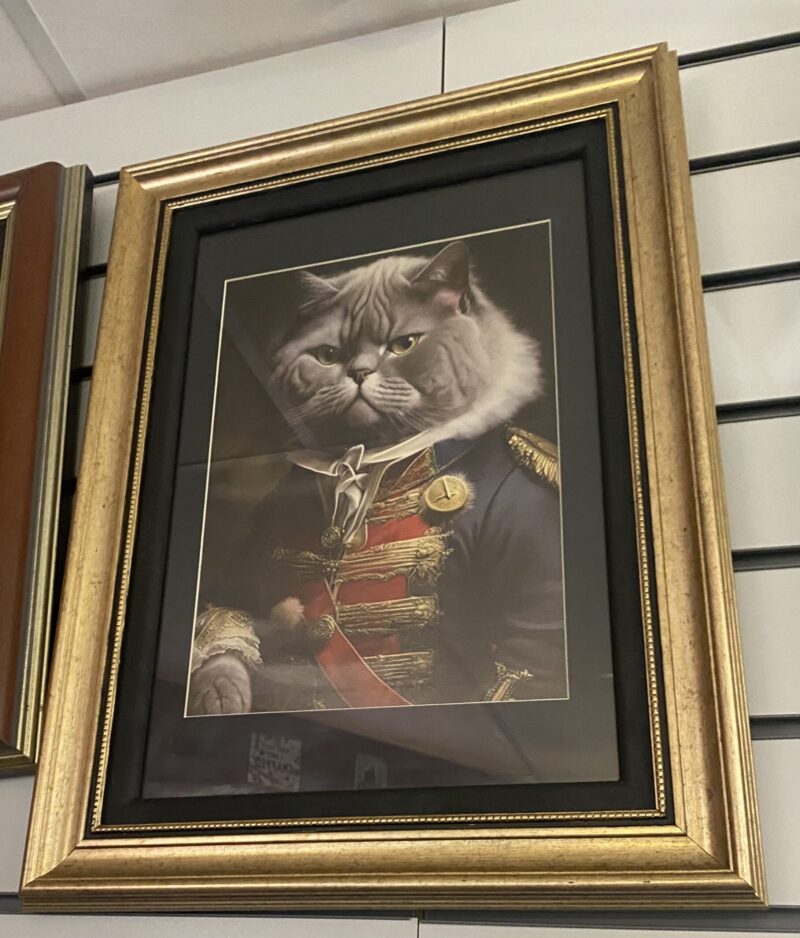 Gentleman Cat Frame