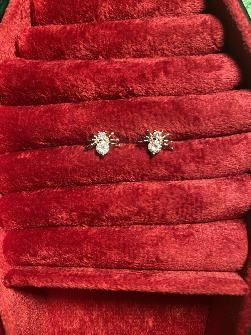 spider earrigs