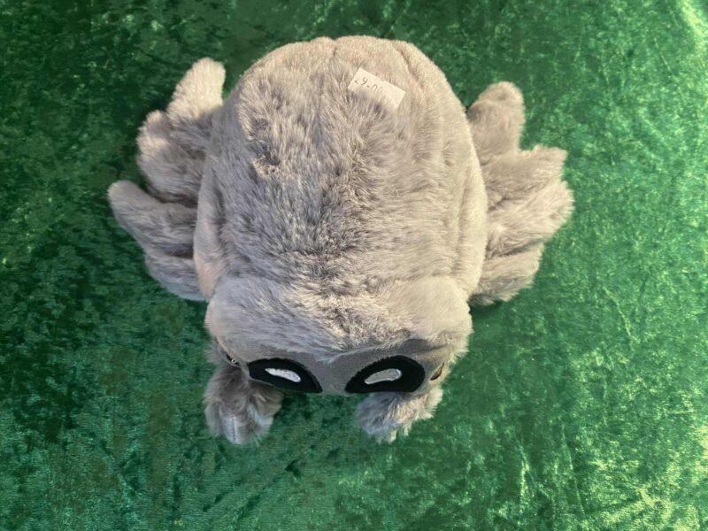 Spider teddy