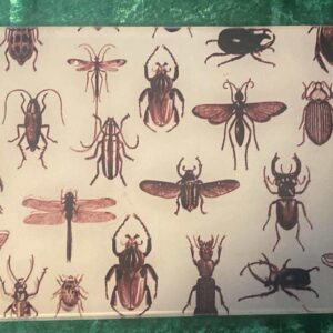 Bug glass chopping board