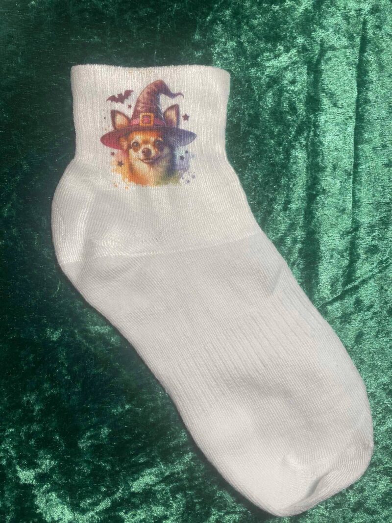 Witch chihuahua socks