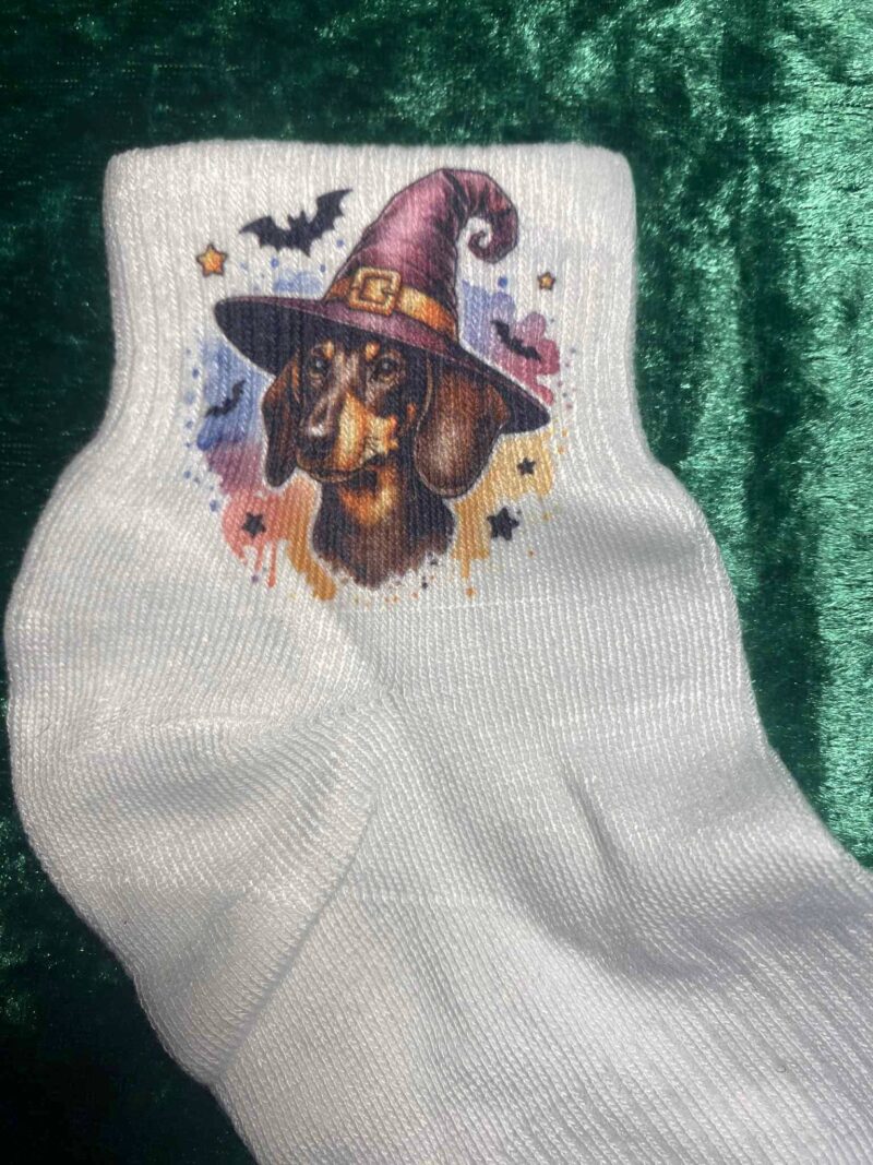Dachshund socks