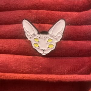4 Eyes Cat Pin
