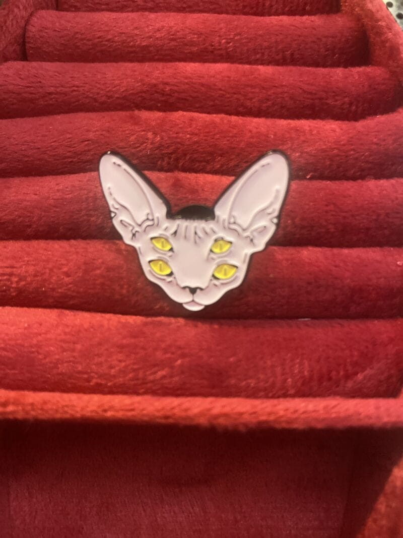 4 Eyes Cat Pin